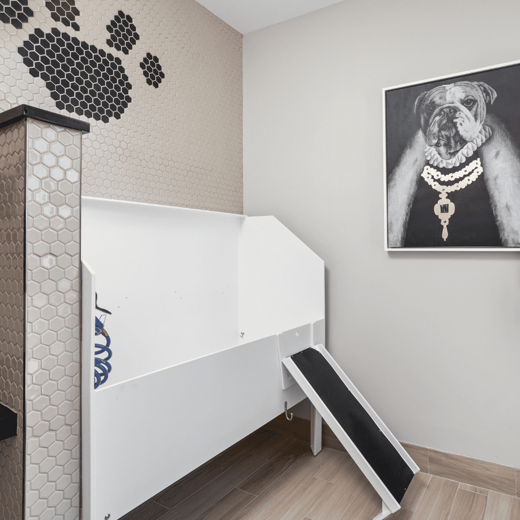 Nexus Pet Salon Pet Friendly Apartments-Nexus Apartments